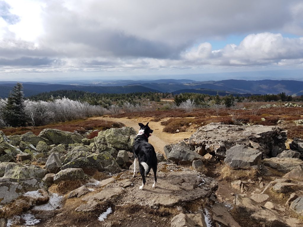 Day trip from Lyon to the Monts de Pilat